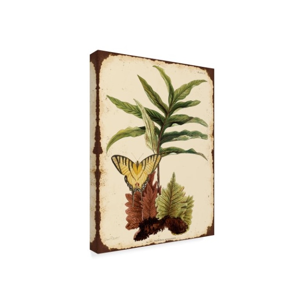 Jean Plout 'Ferns On Vintage Tin' Canvas Art,35x47